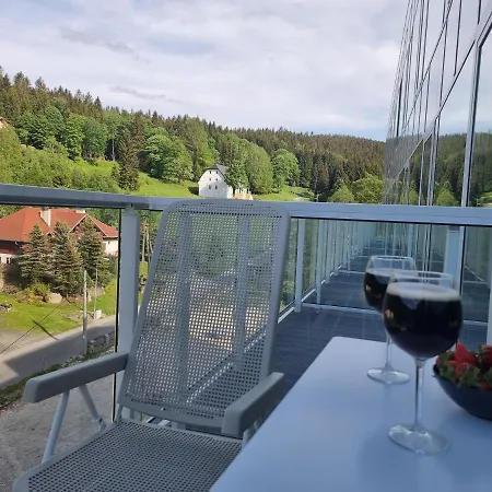 Apartmán Zlota Perla Czarna Gora